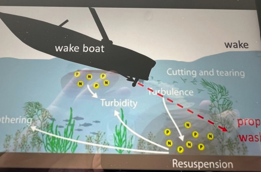 How Wake Boats Effect Our Lake